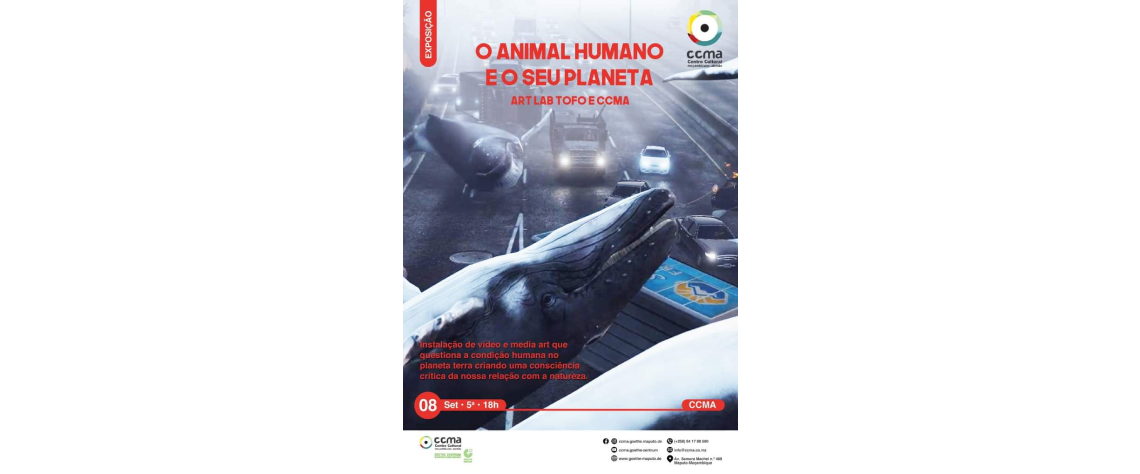 cartaz animal