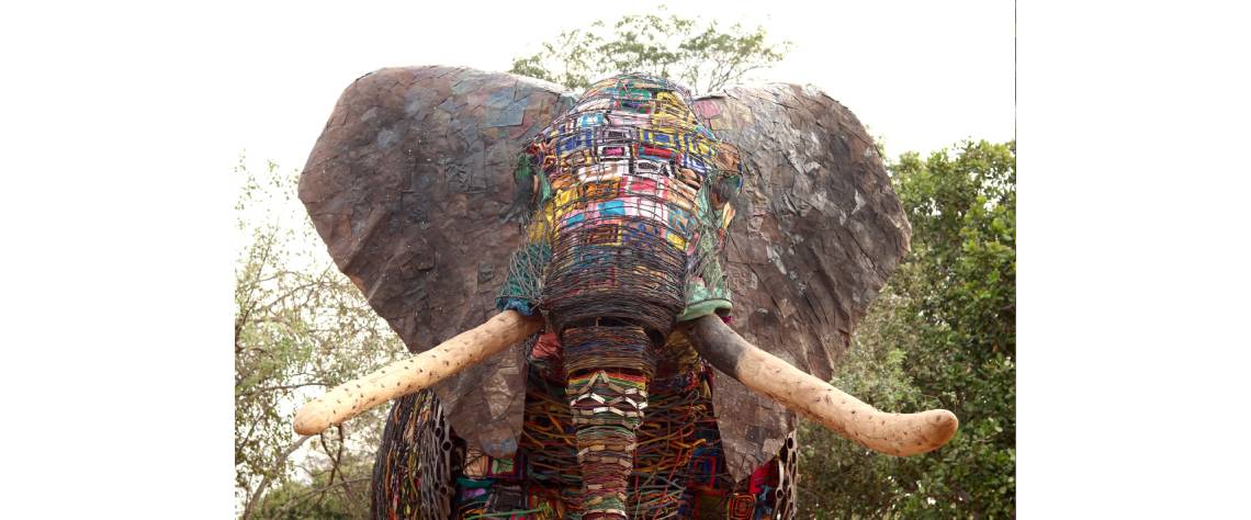 MADALA, O ELEFANTE DA ESPERANÇA, CHEGA A MAPUTO.jpg